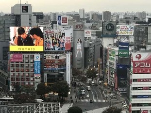 04_s2017_1118_0726_IMG_9518渋谷.jpg