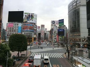 s2017_0224_0648_CIMG3271渋谷.jpg