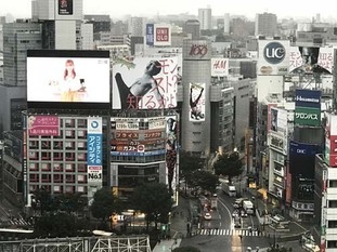 04s2017_1014_0712_IMG_4295渋谷.jpg